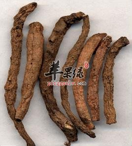 仙茅的鉴别方法与铁棒锤区别有哪些