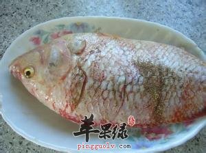 孕妇能不能吃鲷鱼呢