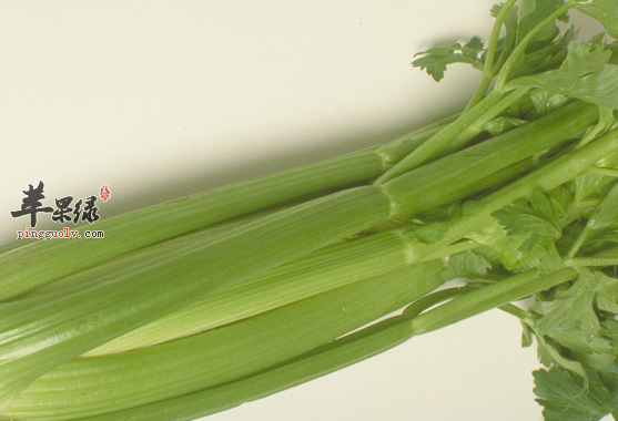 有关于西芹的食用方法介绍