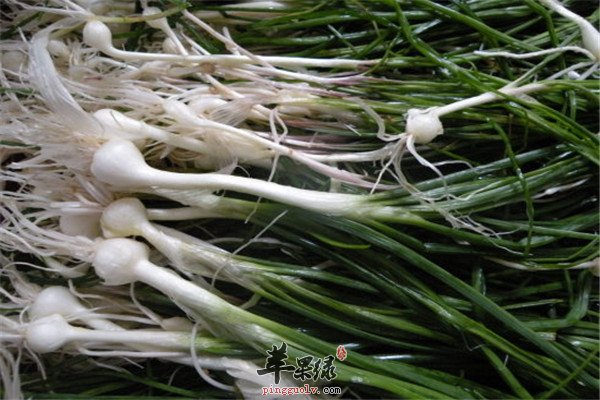 小蒜怎么吃 吃小蒜的养生功效以及好处