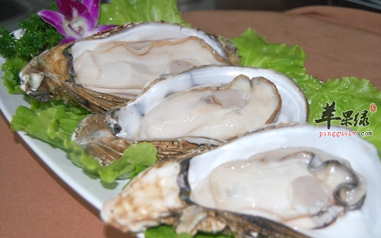 三种生蚝的保健食谱介绍