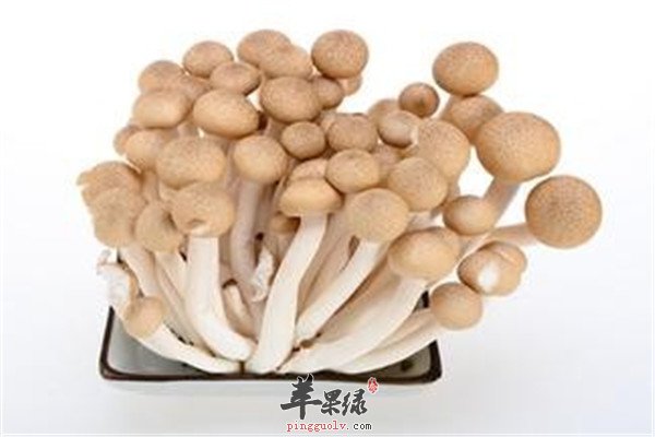 蟹味菇8.jpg