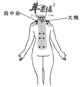 肩中俞穴的位置 教你按摩的方法