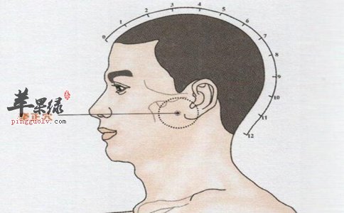 保健效果,但是这个穴位一定要找准位置,才能发挥其效果,那么牵正穴的