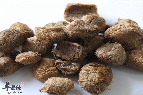 桑螵蛸怎么吃 三款药膳方推荐