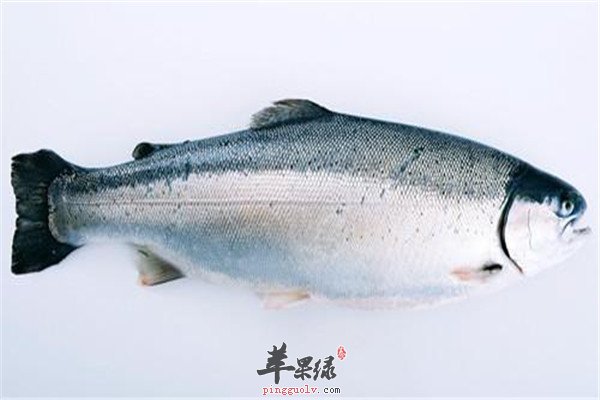 番石榴.jpg