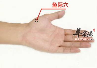 鱼际穴的作用 搭配其他穴位更有效