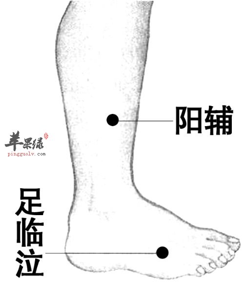 阳辅穴功效神奇 教你找到阳辅穴位置