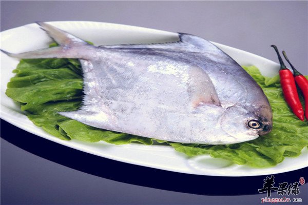 鲳鱼的食用禁忌和人群介绍