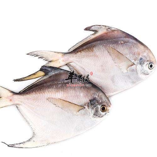 平鱼如何去腥 教你平鱼处理方法