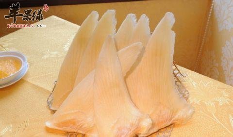 鱼翅的适用人群和食疗价值