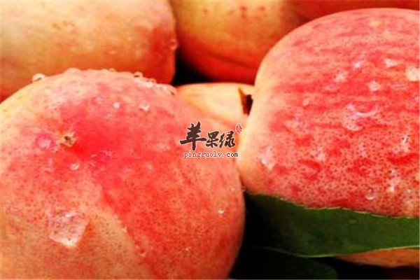 水蜜桃0.jpg