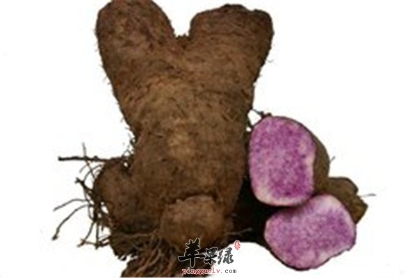 大薯1.jpg