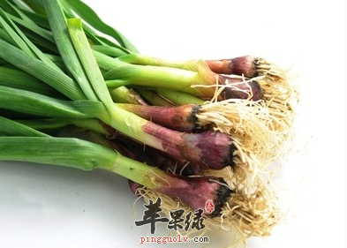 青蒜的营养及做法有关介绍