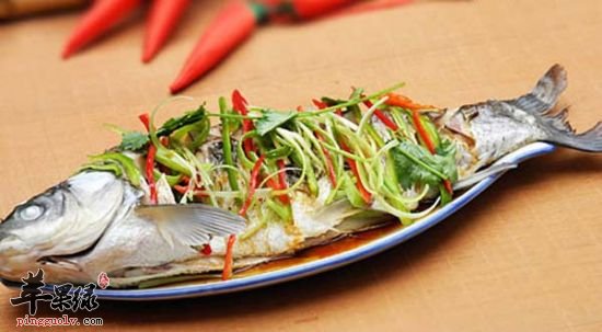 两种特色美味的草鱼做法介绍