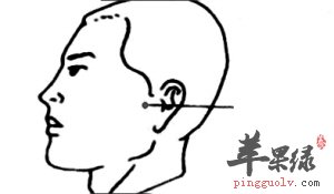 下关穴的位置 教你找到下关穴