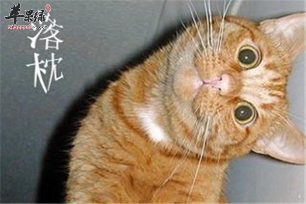 缓解落枕的几个小方法很管用