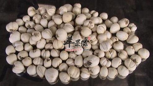 川贝母的副作用 这些禁忌要牢记