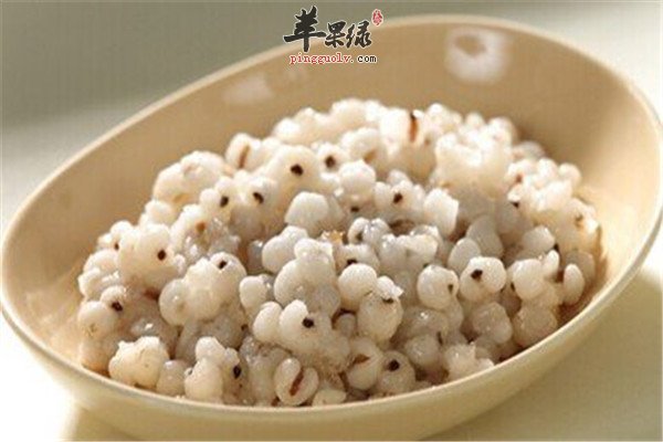 赶走体内湿气 祛湿止痛的食物