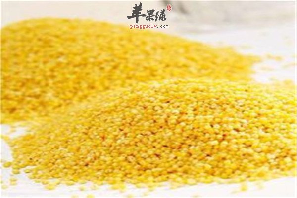 赶走体内湿气 祛湿止痛的食物