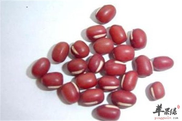 薏米.jpg