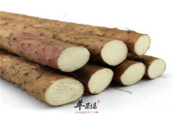薏米1.jpg