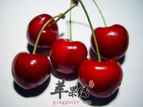 吃那些食物可以预防考前焦虑