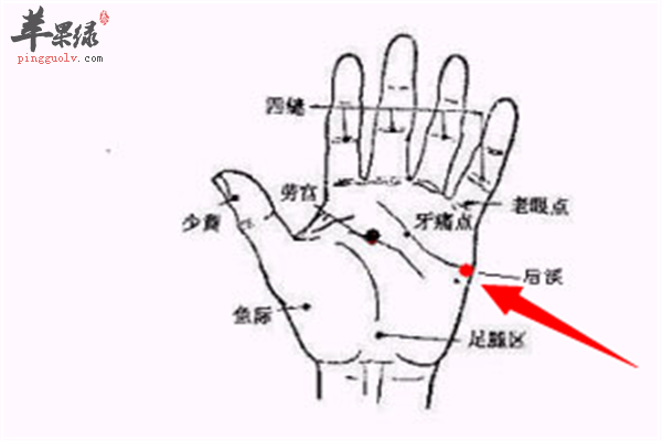 后溪穴位的作用和配伍功效