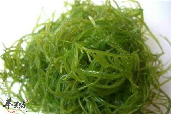 能壮阳的食物你怎么能不吃