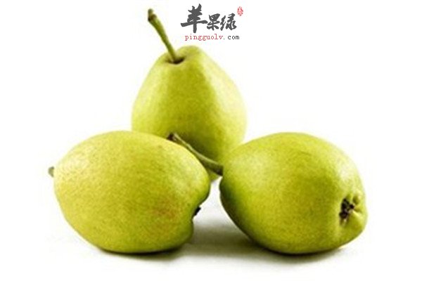 香梨7.jpg