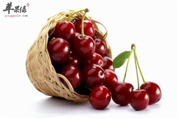 车厘子是什么 有什么营养价值