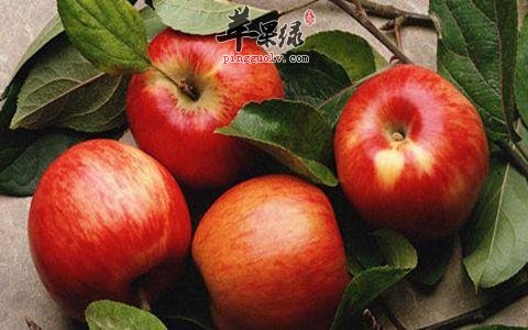 哪些苹果不能吃 这样的苹果要避免