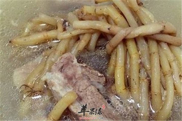 中药材鱼腥草的食疗方法