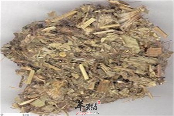 小蓟草的功效与作用 中药材小蓟的功效与作用