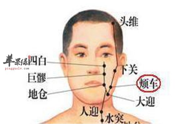 按摩颊车穴位的作用有哪些