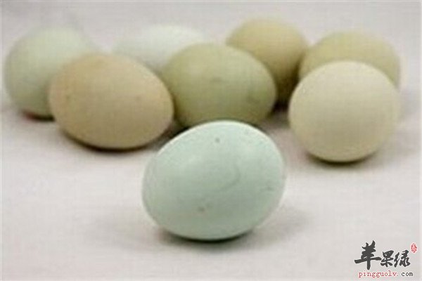 藏鸡蛋的营养价值和保健功效_苹果绿