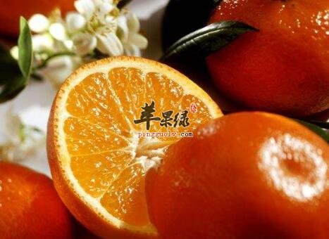 维生素C含量高的食物