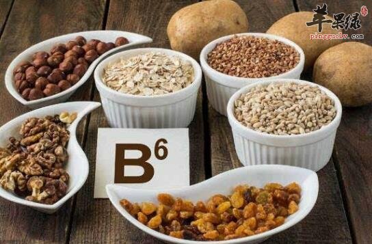 维生素b6含量高的食物