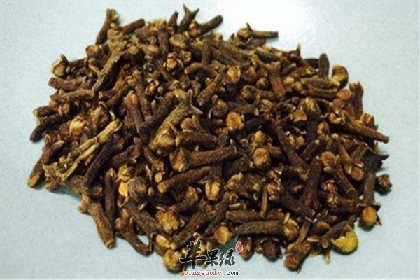 方法的推荐医学有关食用食疗药膳题库丁香丁香安卓图片
