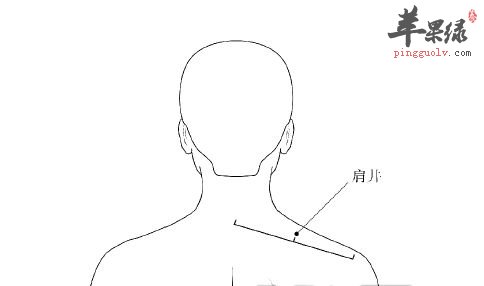 肩井穴在什么位置 推荐按摩手法