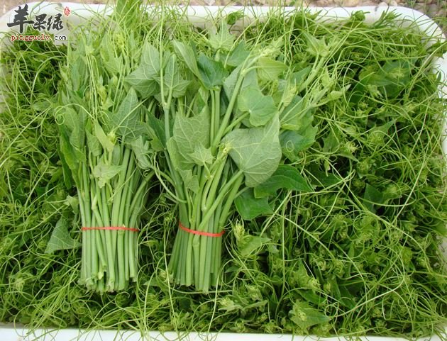 龙须菜炒肉丝