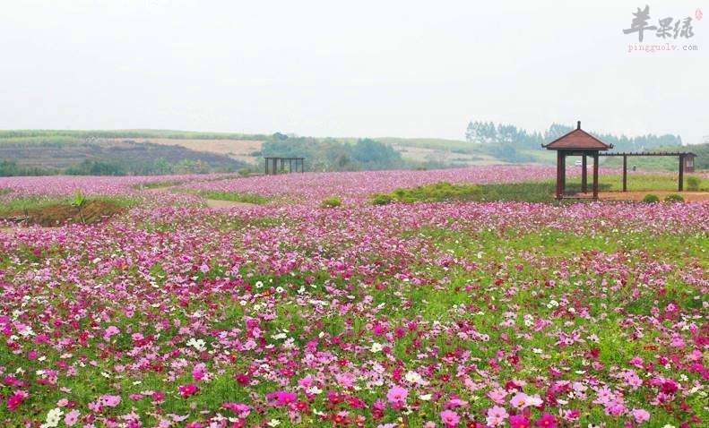 农村风景图片大全立春