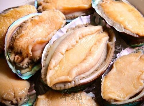 鲍鱼不能和什么一起吃_鲍鱼同食禁忌_哪些人不宜吃鲍鱼_食物相克_苹果