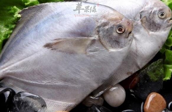 卤肉a卤肉一起吃成都廖排骨鲳鱼v卤肉地址图片