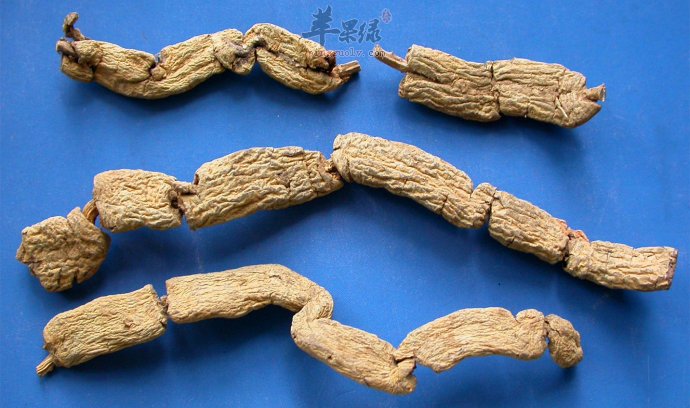 如何服用巴戟治病的效果更好