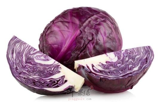 紫烧肉a烧肉一起吃胡萝卜甘蓝香菇图片