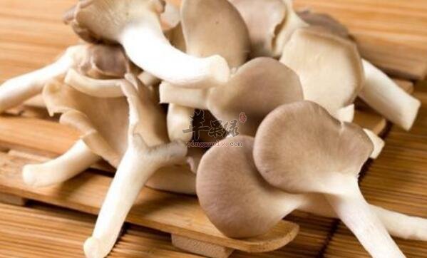 茄子和蘑菇一起吃食谱食谱大全高中生图片