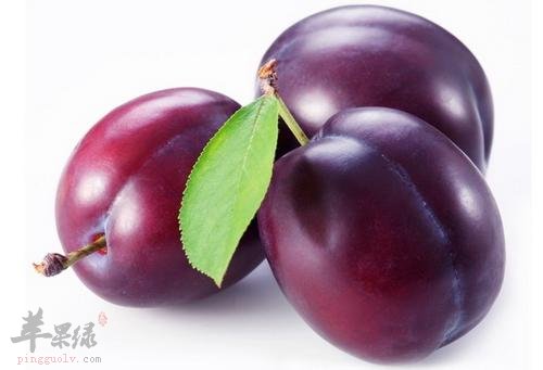 孕妇可以吃李子吗 吃李子有帮助