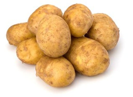 马铃薯淀粉_马铃薯块茎有淀粉_马铃薯晚疫病主要侵害马铃薯的