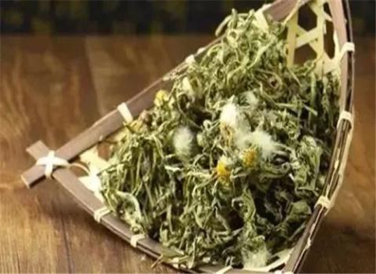 蒲公英怎么搭配 红茶和红枣更配